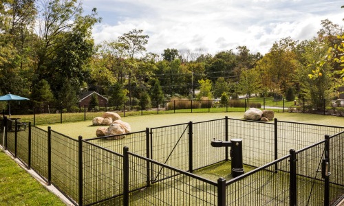 a dog park with a grassy area and trees in the background