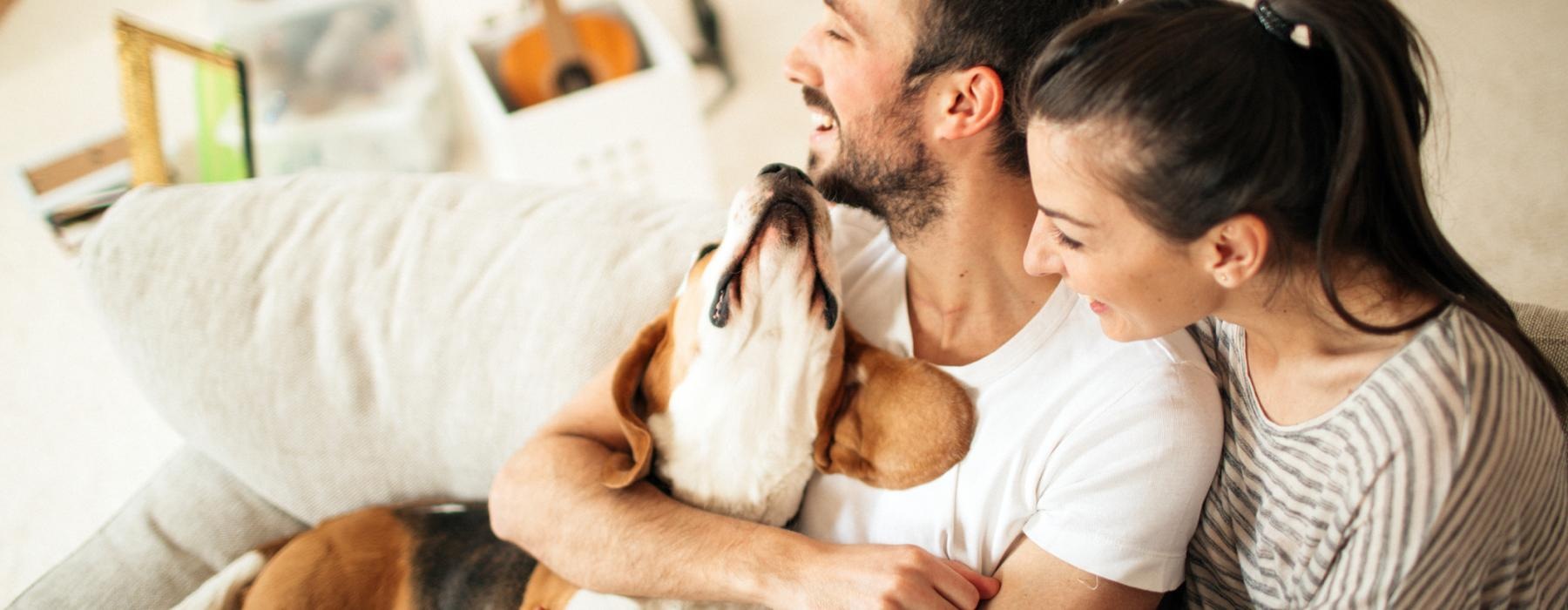 a man and woman holding a dog